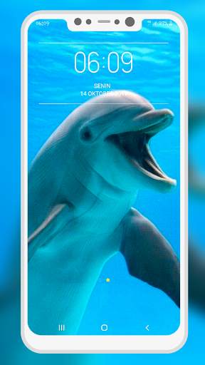 Dolphin Wallpaper screenshot 5