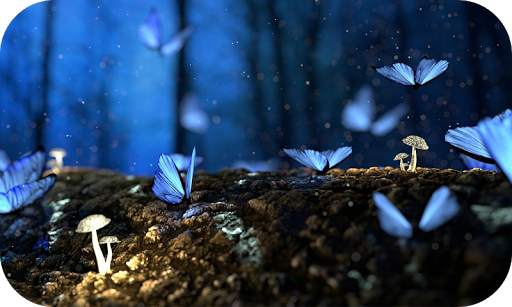 Nature Wallpaper screenshot 2