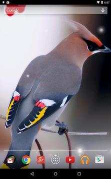 Spring Birds screenshot 10