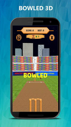 Bowled 3D - Cricket Game screenshot 6