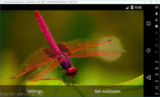 Ladybug 3D Live Wallpaper 18 تصوير الشاشة