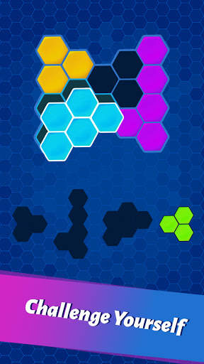 Hexa Block Puzzle 3 تصوير الشاشة