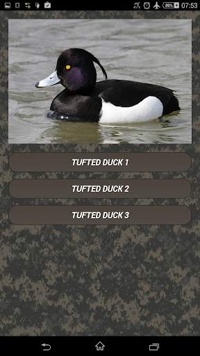 Duck hunting calls screenshot 5