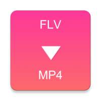 FLV to MP4 Converter icon