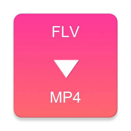 FLV to MP4 Converter 4.0
