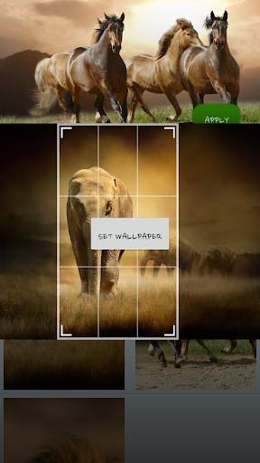 Savanna Animals Theme screenshot 8