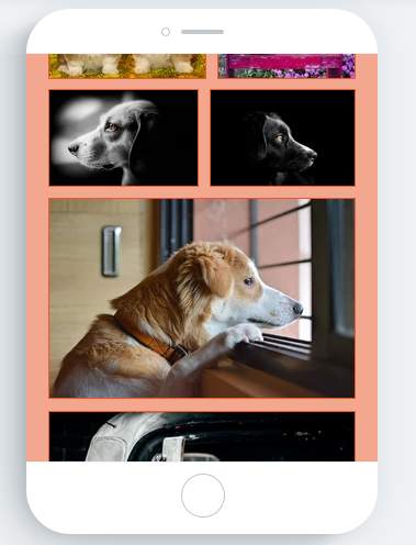 Dogs screenshot 2