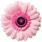 Flower Photo Frames logo