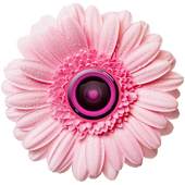 Flower Photo Frames 1.0