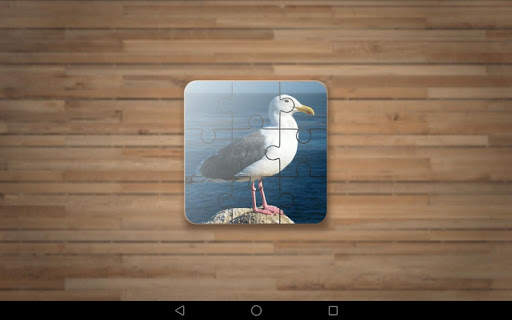 Bird Puzzle Games screenshot 6