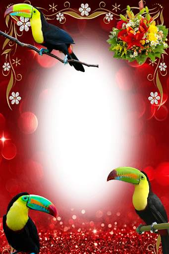 Birds Photo Frames स्क्रीनशॉट 4