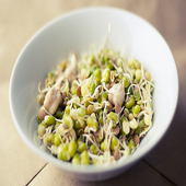 Soya Recipes icon
