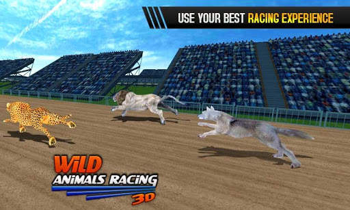 Animaux sauvages Racing 3D screenshot 5