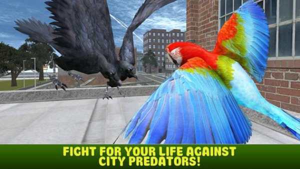 City Bird Parrot Simulator 3D screenshot 2