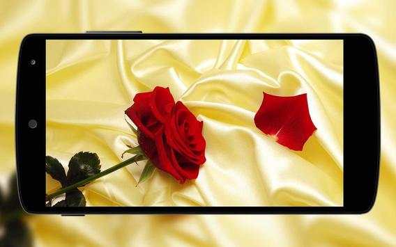 HD Wallpapers screenshot 3