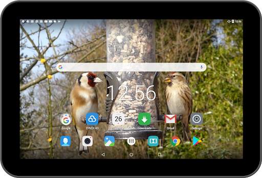 Birds Live Wallpaper screenshot 8