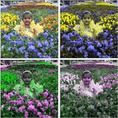 Photo Color Edit 1.4