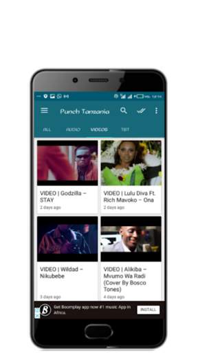 Punch Tanzania1 screenshot 2
