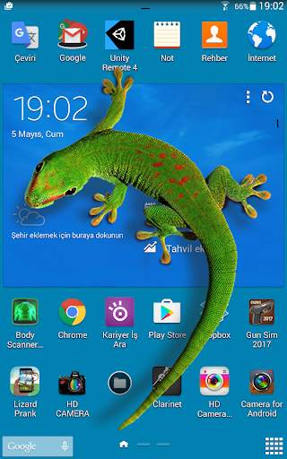 Lizard in phone funny walks screenshot 2