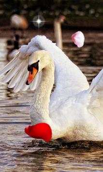 Swans Magic live wallpaper screenshot 2