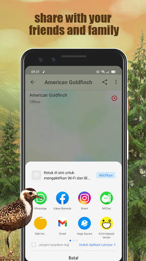 All Bird Sound And Ringtones screenshot 5
