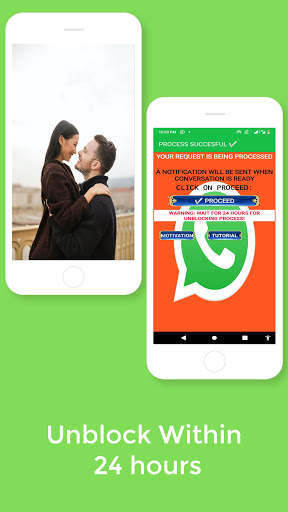 WP UNBLOCKER LITE screenshot 4