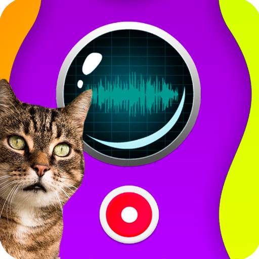 Cat Speaker 3.0