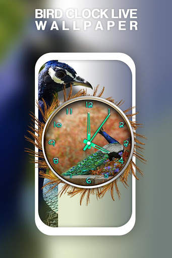 Bird Clock Live Wallpaper screenshot 1