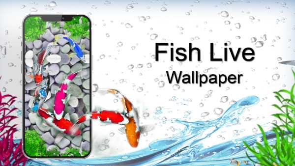 Koi Pet Fish Live Wallpaper screenshot 1