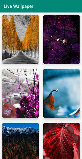 Live Wallpaper screenshot 2