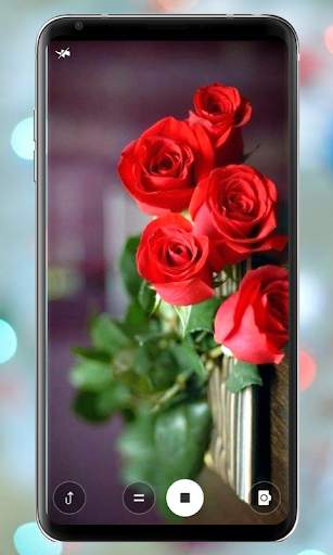 Rose Mobile Wallpapers screenshot 2