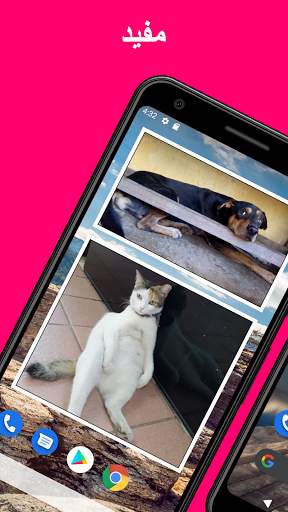Photo Widget + 2 تصوير الشاشة