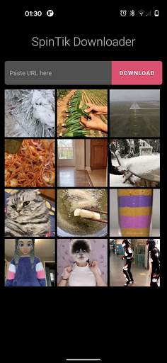 SpinTik - Video Downloader for TikTok screenshot 1