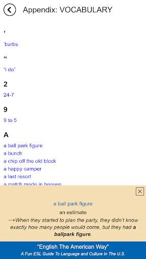English The American Way screenshot 5