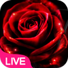 Neon Red Rose Live Wallpaper icon