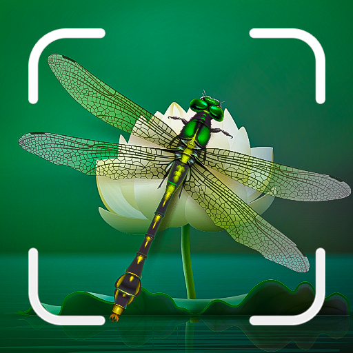 Insect Spider &amp; Bug identifier icon