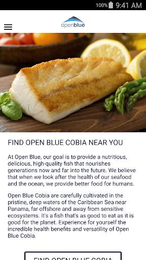 Open Blue screenshot 2