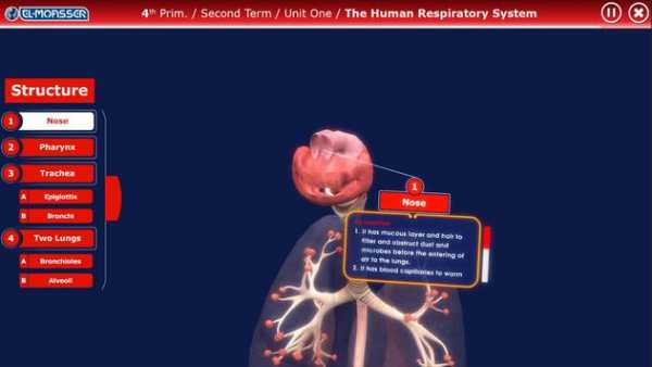 El-Moasser Respiratory System 3D screenshot 3