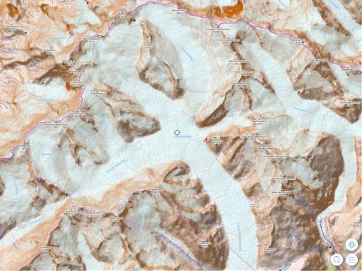 Swiss Pro Map 9 تصوير الشاشة