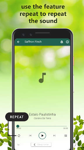 Bird Calls Sounds screenshot 5