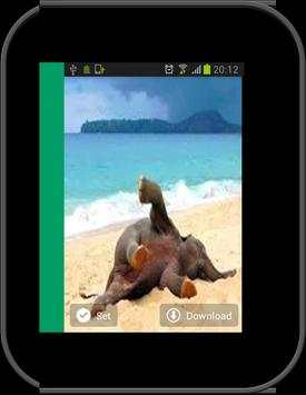 1000 Summer wallpapers screenshot 13