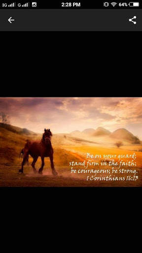 Daily Bible Quotes screenshot 6
