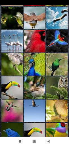 Bird Wallpaper Full HD screenshot 5