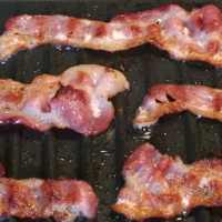 Bacon Live Wallpaper icon