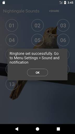 Nightingale Bird Sound Ringtones screenshot 4