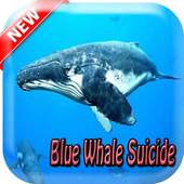 New Guide Blue Whale Suicide Game 1.3