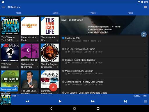 DoggCatcher Podcast Player screenshot 18