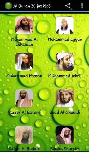 Al Quran 30 juz Mp3 скриншот 3