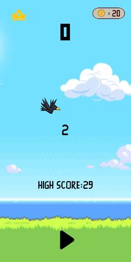 Crazy Bird screenshot 5