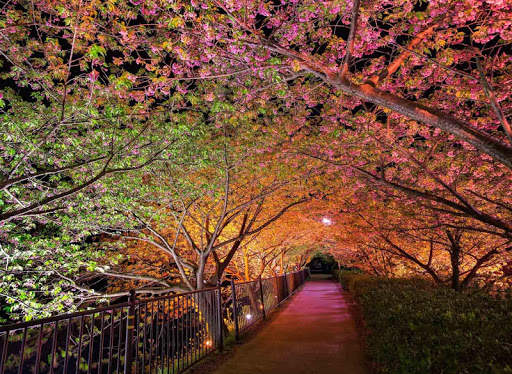 Spring Wallpapers HD screenshot 2